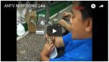 antv-nhip-song-24h
