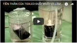 tien-than-cua-tidiled-duoi-muoi-va-lam-sach-khong-khi-bang-ozon